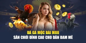 Đá Gà Mộc Bài M88 - Sân Chơi Đỉnh Cao Cho Dân Đam Mê