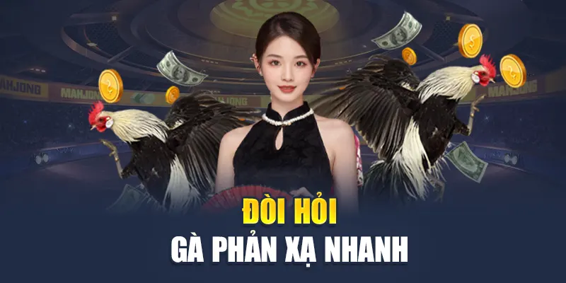 Đá Gà Mộc Bài M88 - Sân Chơi Đỉnh Cao Cho Dân Đam Mê 2 Đòi hỏi gà phản xạ nhanh