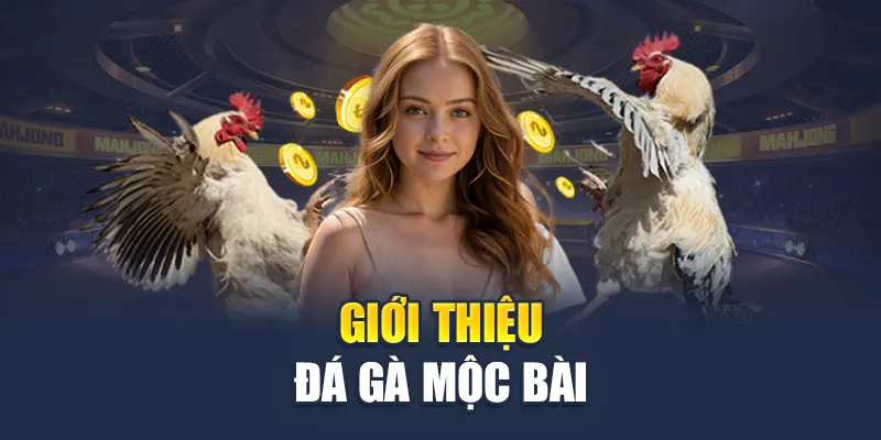 Đá Gà Mộc Bài M88 - Sân Chơi Đỉnh Cao Cho Dân Đam Mê 1 Giới thiệu đá gà mộc bài